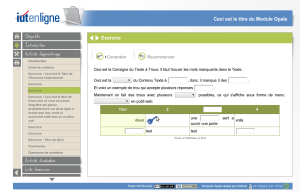 Integración del diseño personalizado Opale para "IUT en ligne"